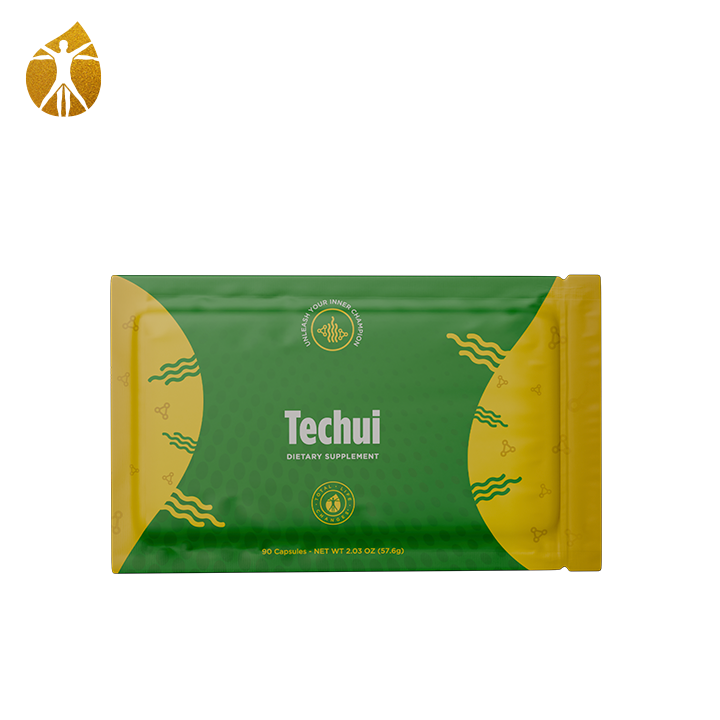 TECHUI