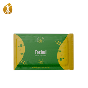 TECHUI