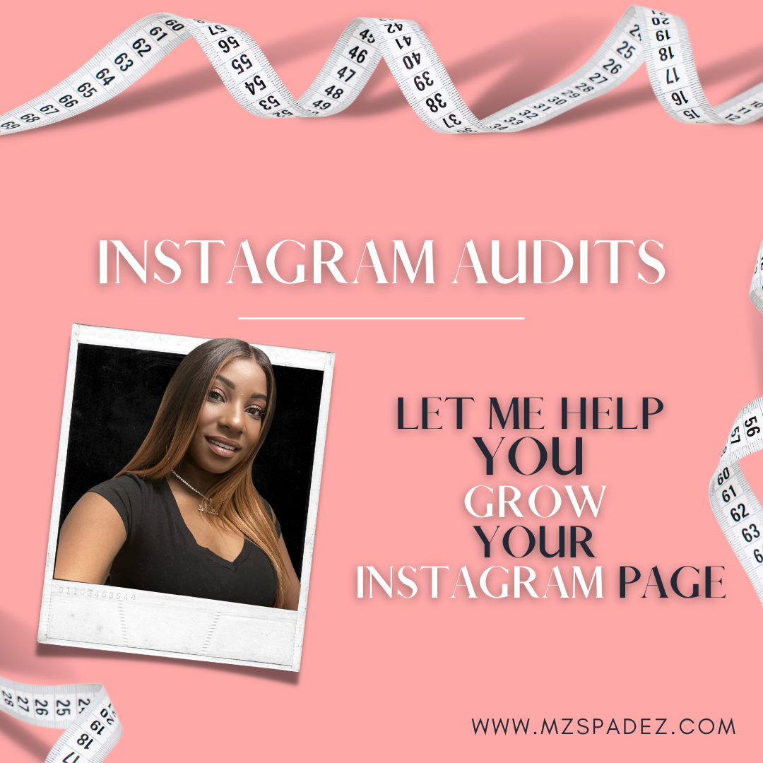 INSTAGRAM AUDITS