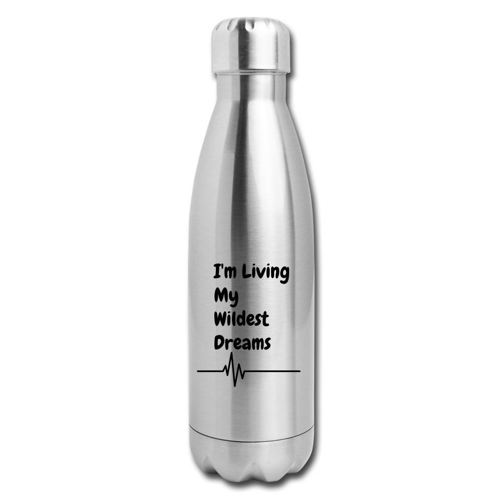 Insulated Stainless Steel Water Bottle - silver